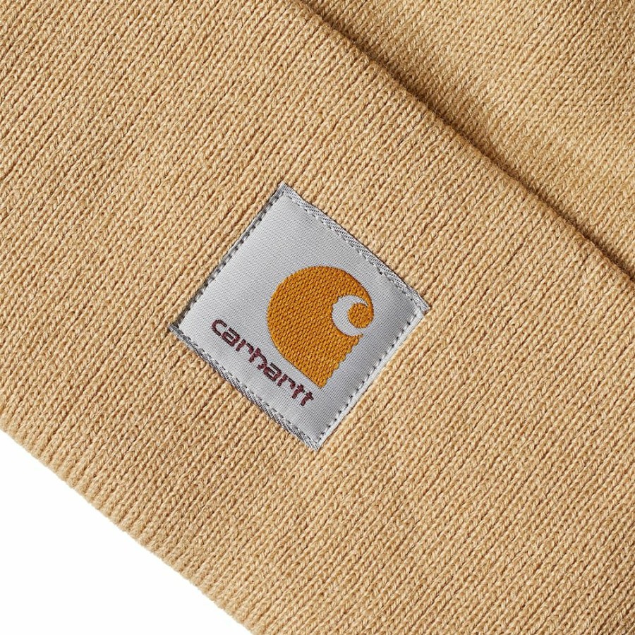 Beanies * | Carhartt Wip Watch Hat